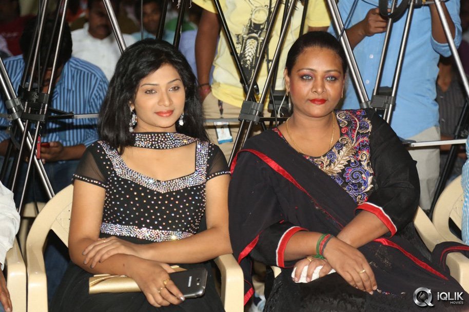 Romantic-Target-Movie-Trailer-Launch